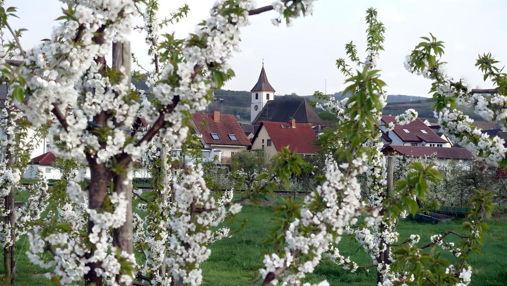 Ferienwohnung Fliegerhorst Endingen am Kaiserstuhl Esterno foto