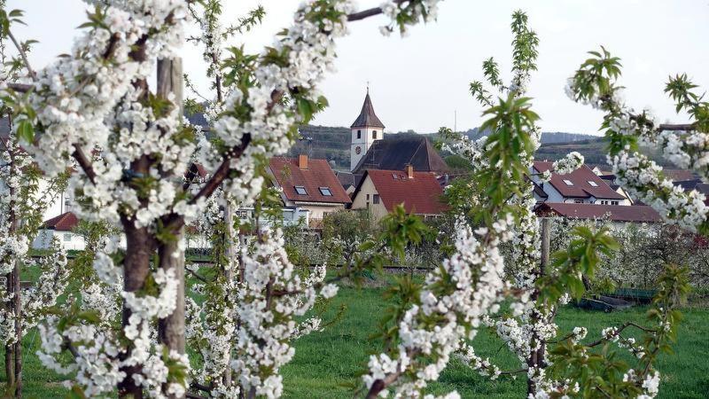 Ferienwohnung Fliegerhorst Endingen am Kaiserstuhl Esterno foto